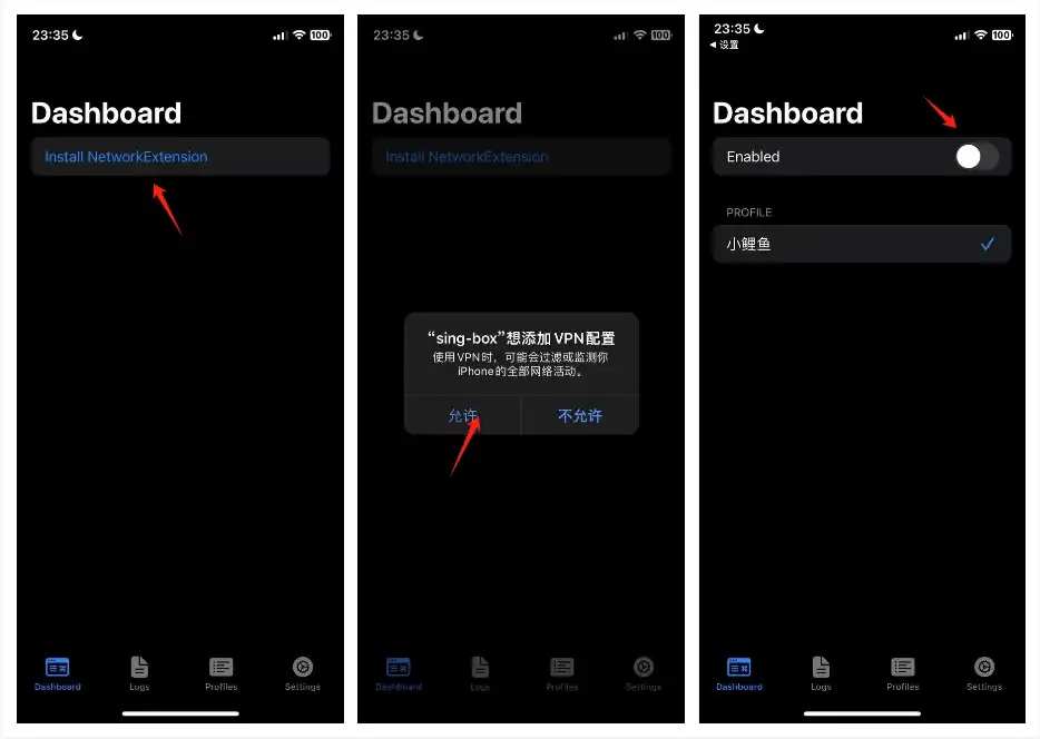 Sing-box 小白使用教程 5 install network